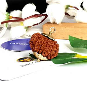 10 Mukhi Super Premium Rudraksha