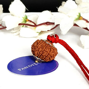 10 Mukhi Super Premium Rudraksha