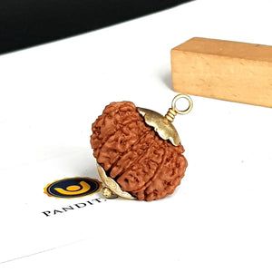 10 Mukhi Super Premium Rudraksha