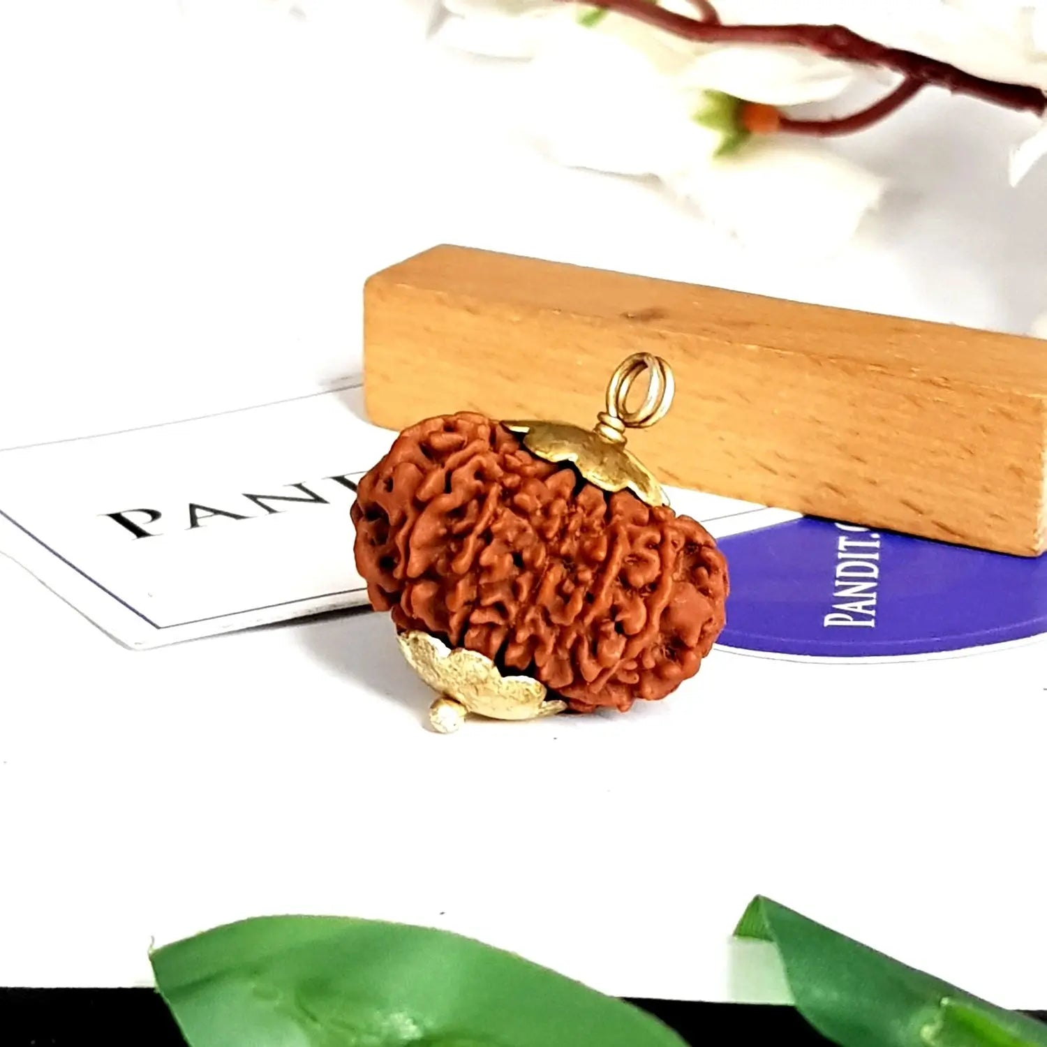 12 Mukhi Super Premium Rudraksha