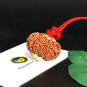 12 Mukhi Super Premium Rudraksha