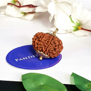 12 Mukhi Super Premium Rudraksha