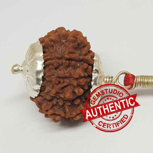 15 Faced Rudraksha – Nepal