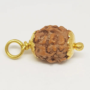 4 Mukhi Rudraksha - Indonesia