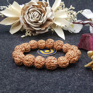5 Mukhi Premium Rudraksha