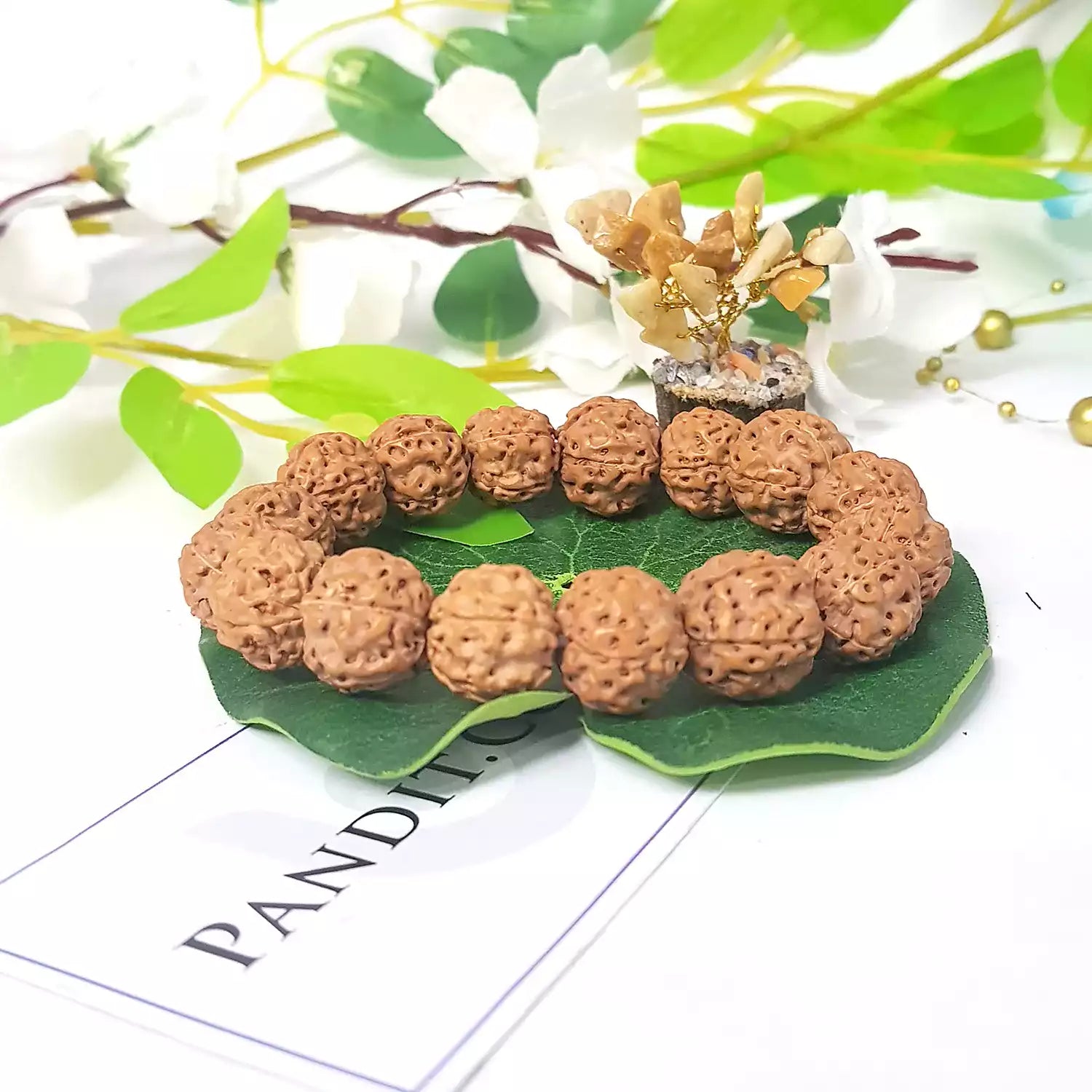 5 Mukhi Premium Rudraksha