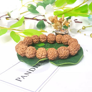 5 Mukhi Premium Rudraksha