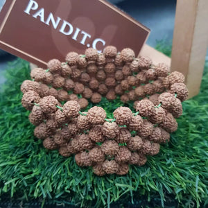5 Mukhi Rudraksha Bracelet