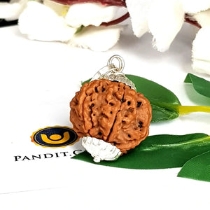 6 Mukhi Super Premium Rudraksha