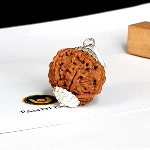 6 Mukhi Super Premium Rudraksha