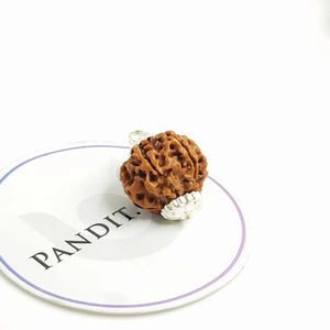 7 Mukhi Super Premium Rudraksha