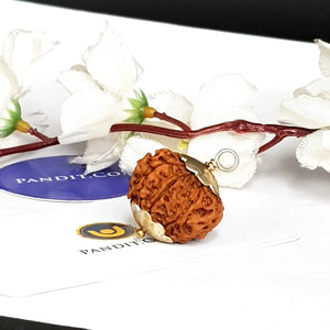 8 Mukhi Super Premium Rudraksha