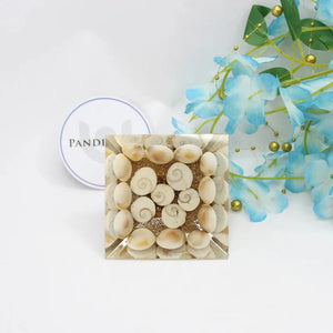 9 Plate Orgone Pyramid With Gomti Chakra