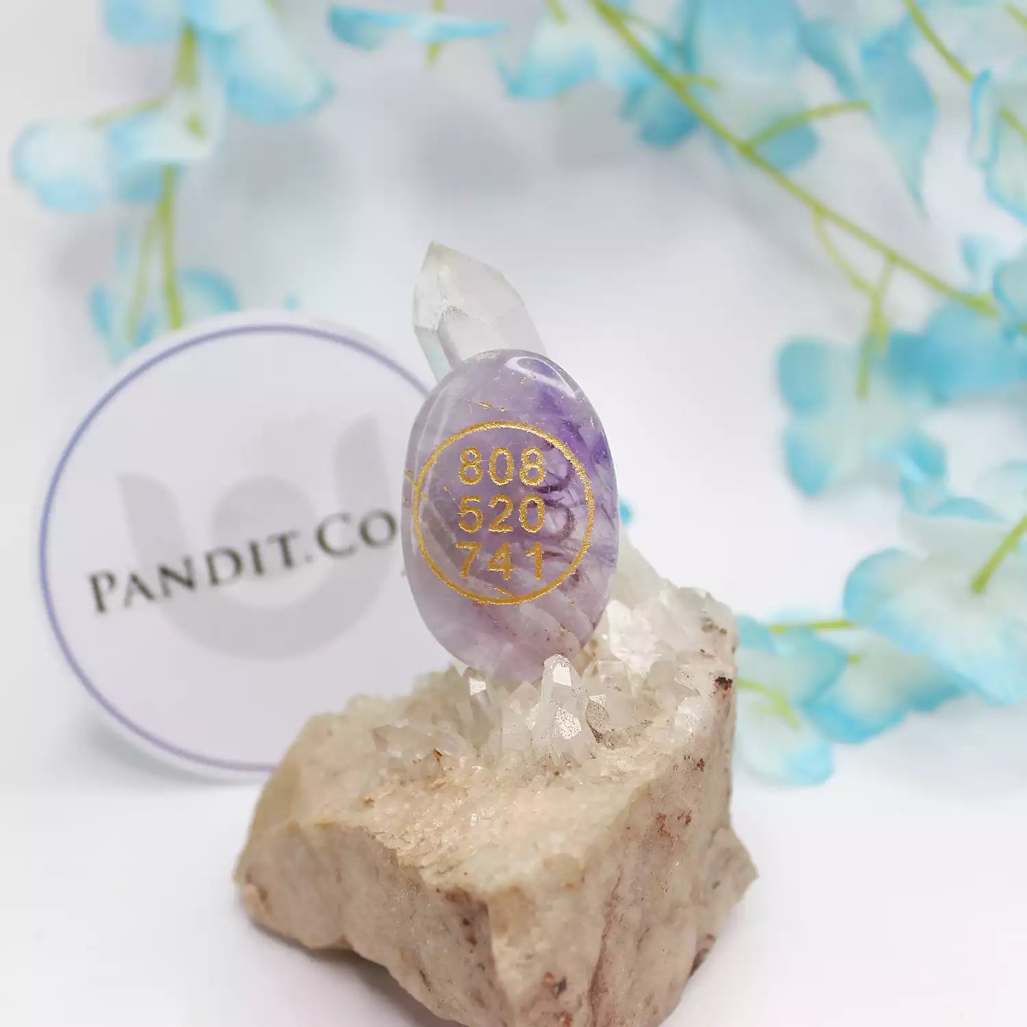 Amethyst Zibu Symbol Coin