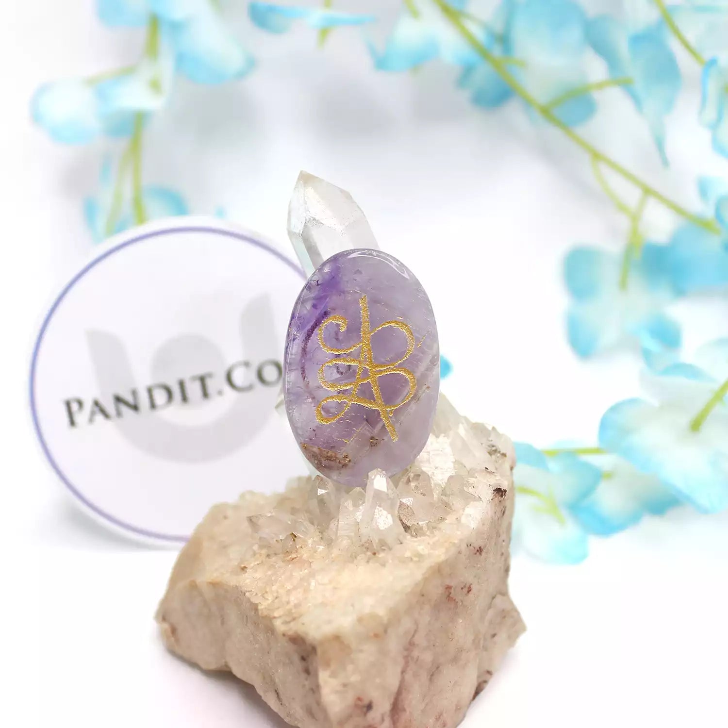 Amethyst Zibu Symbol Coin