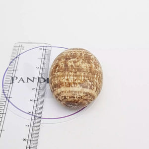 Aragonite Healing Crystal Palm Stone