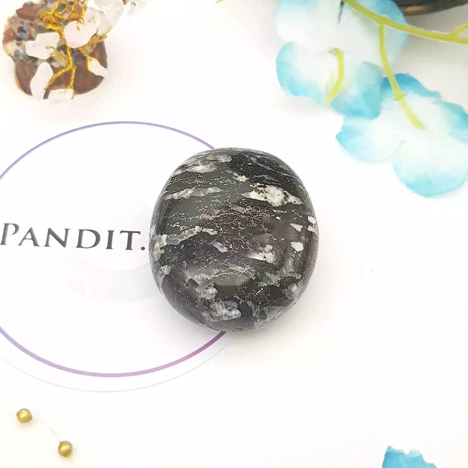 Black White Tourmaline Healing Crystal Palm Stone