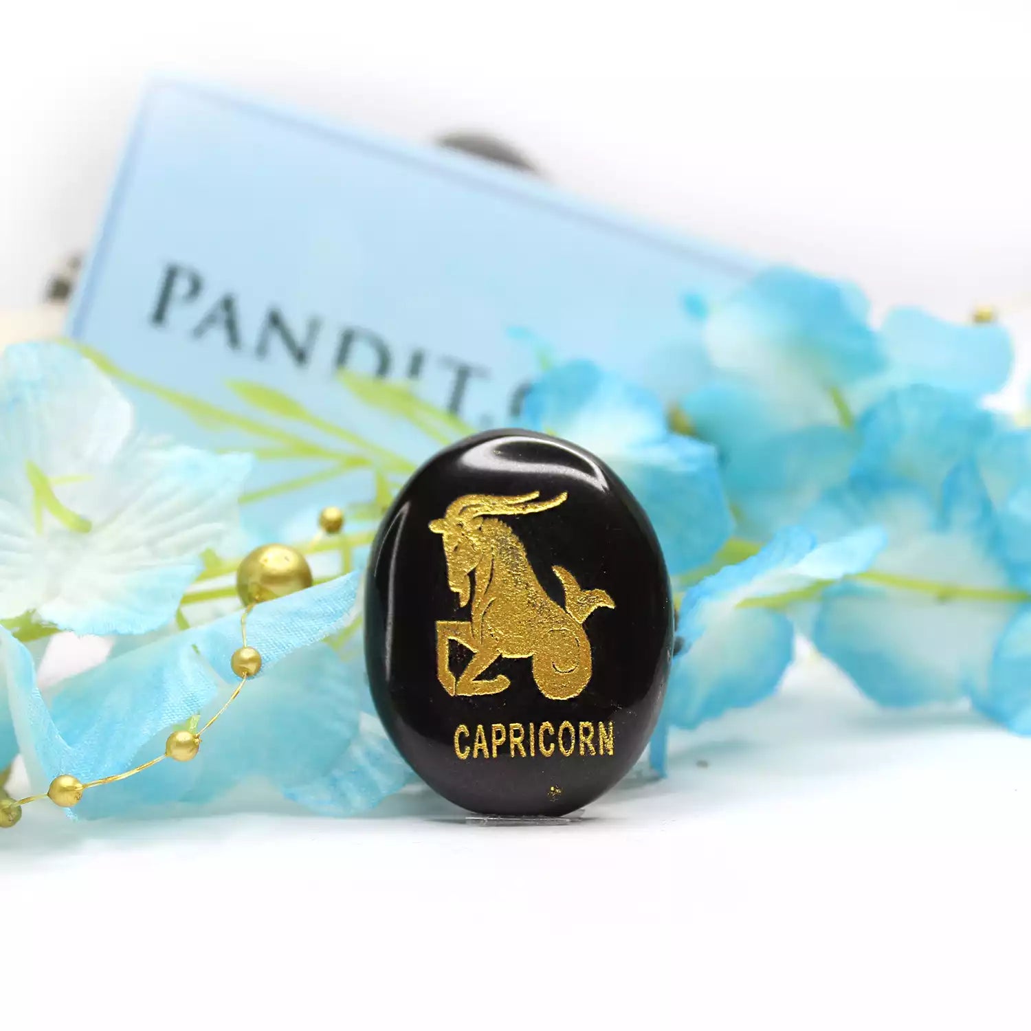 Capricorn Zodiac Sign Coin