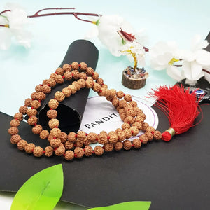 Chikna Rudraksha Mala