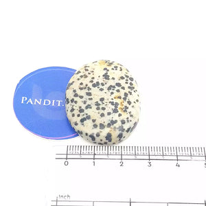 Dalmatian Jasper Worry Stone
