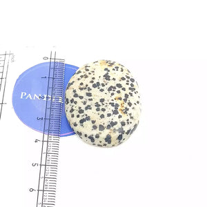 Dalmatian Jasper Worry Stone