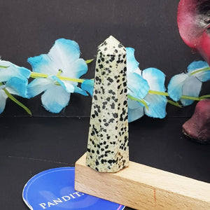 Dalmatian Pencil Tower Point