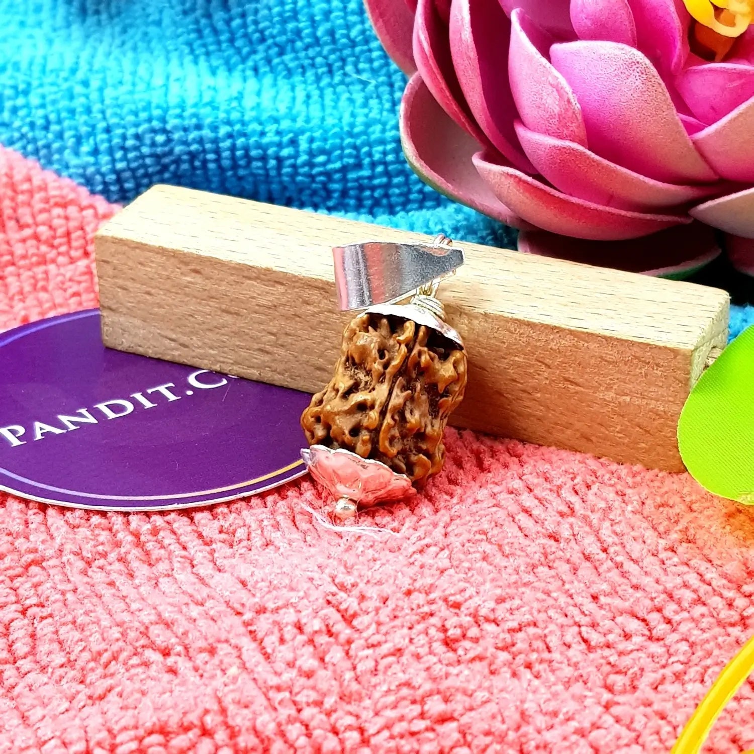 Damru Rudraksha - Basic