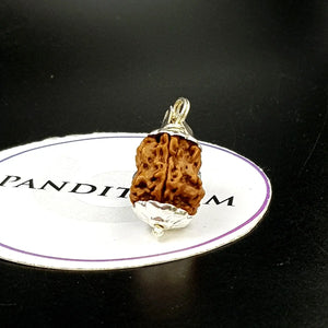 Damru Rudraksha - Basic