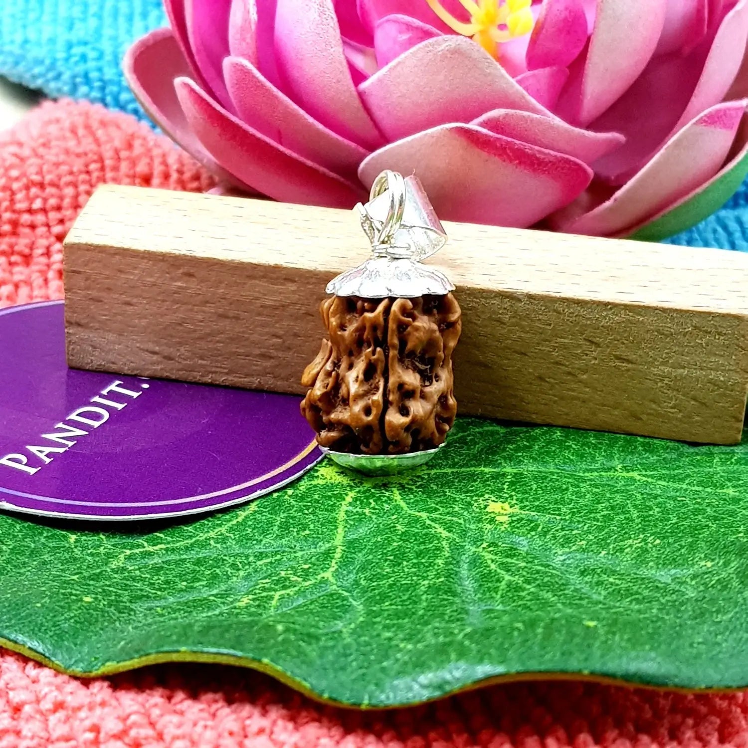 Damru Rudraksha - Basic