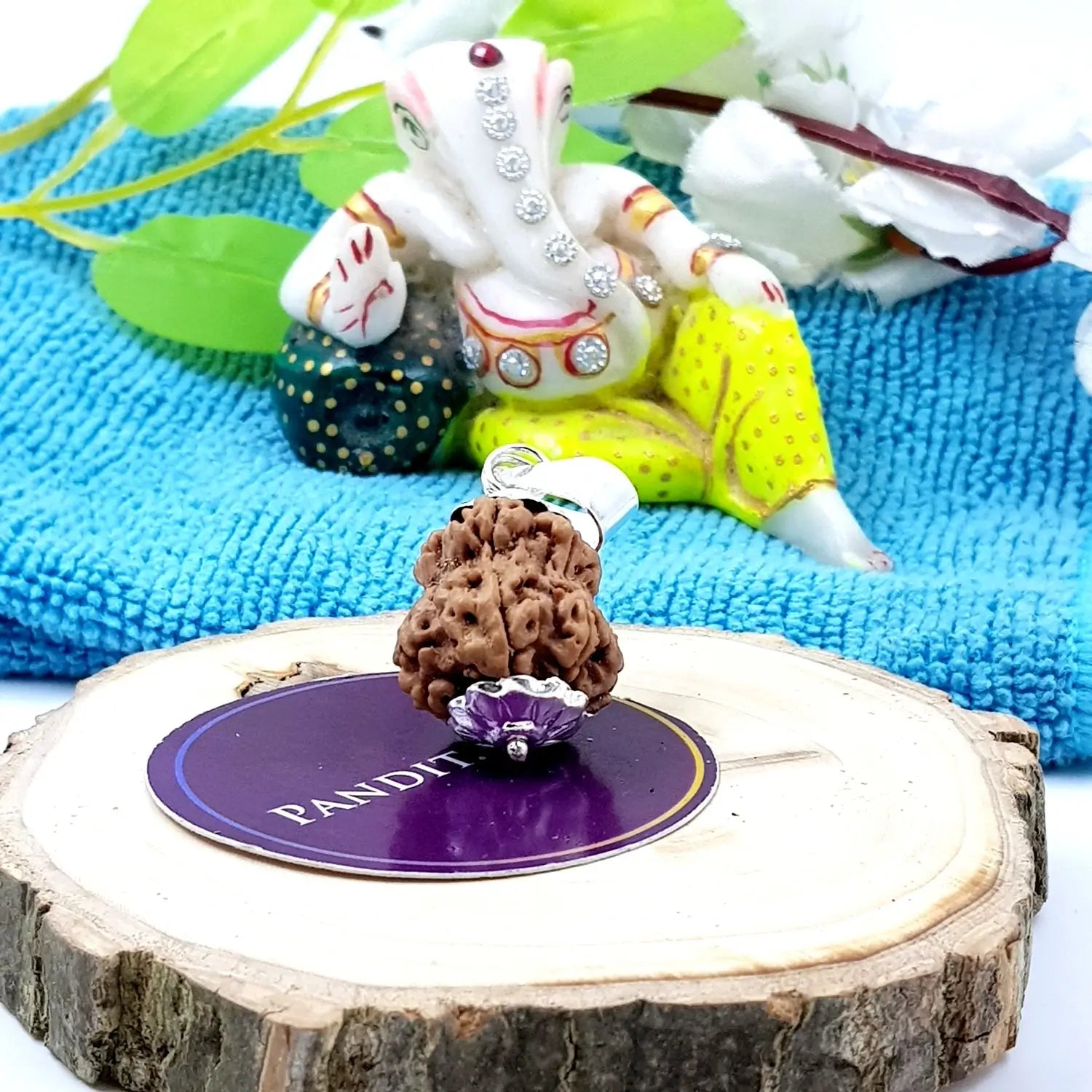 Damru Rudraksha - Premium