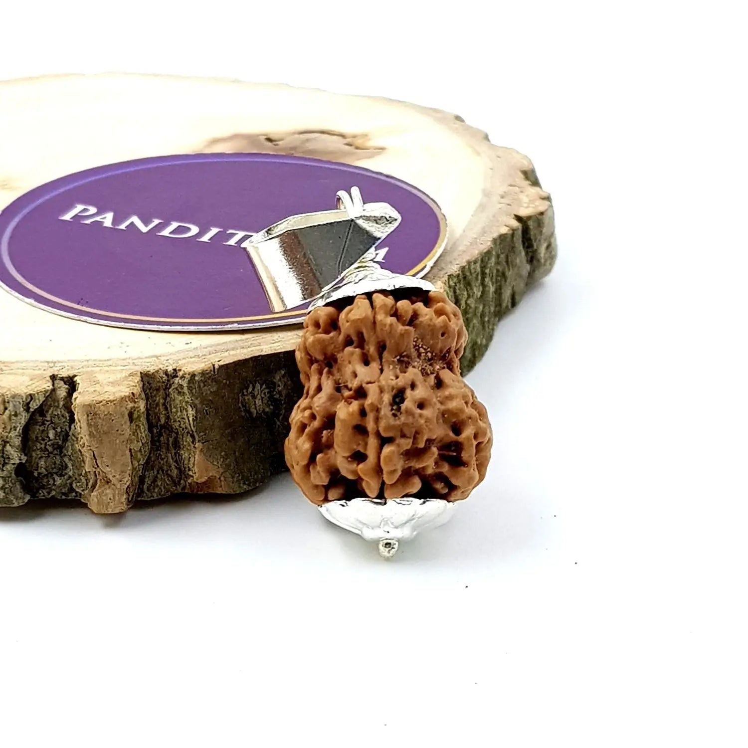 Damru Rudraksha - Premium