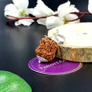 Damru Rudraksha - Super Premium