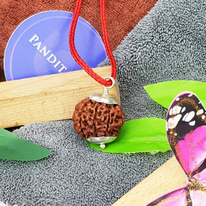 Eight Mukhi Premium Rare Rudraksha