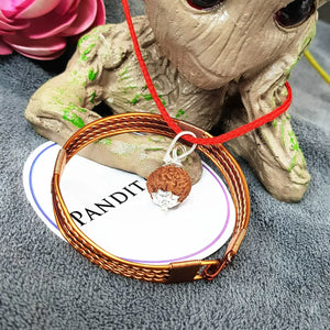 8 Mukhi Indonesia Rudraksha