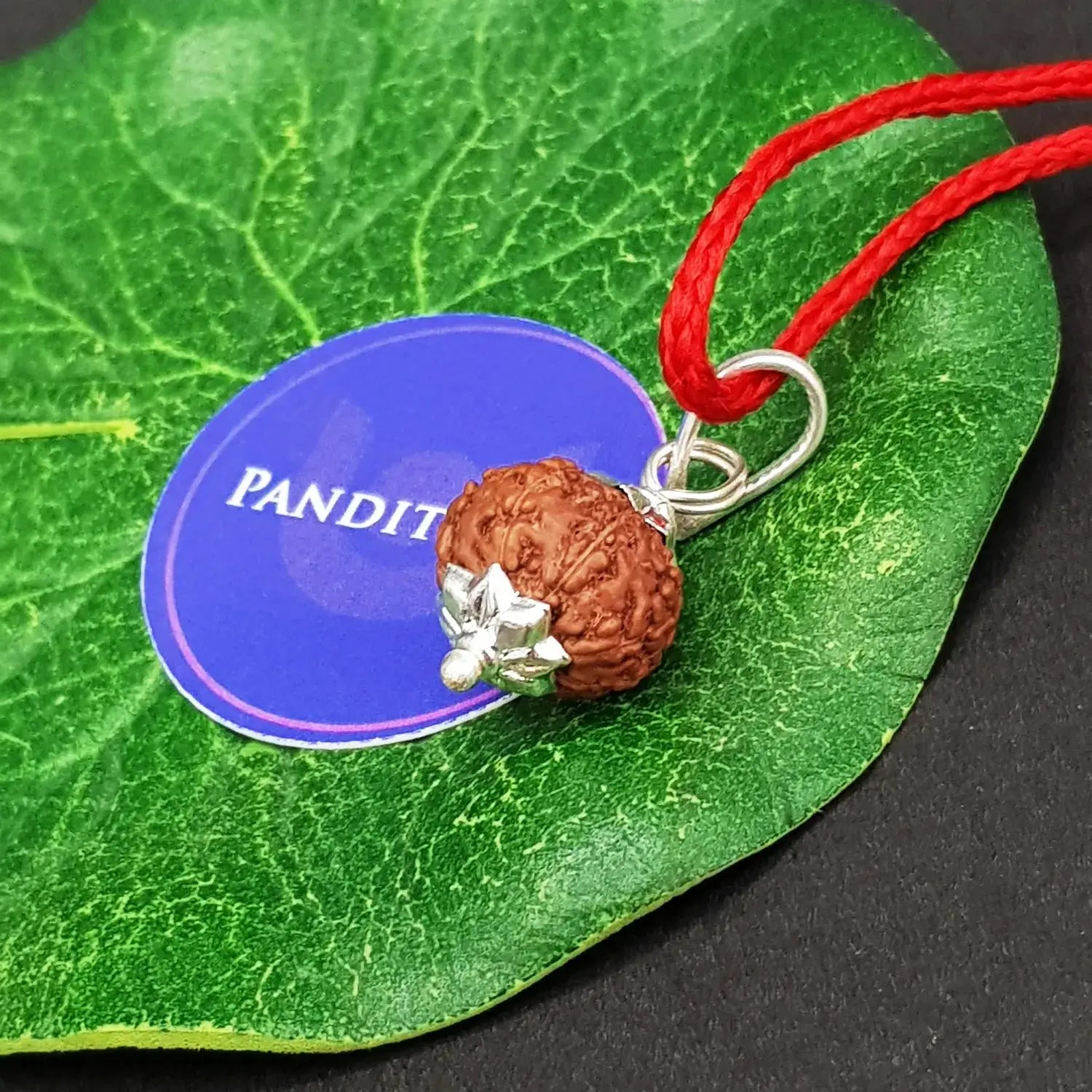 8 Mukhi Indonesia Rudraksha