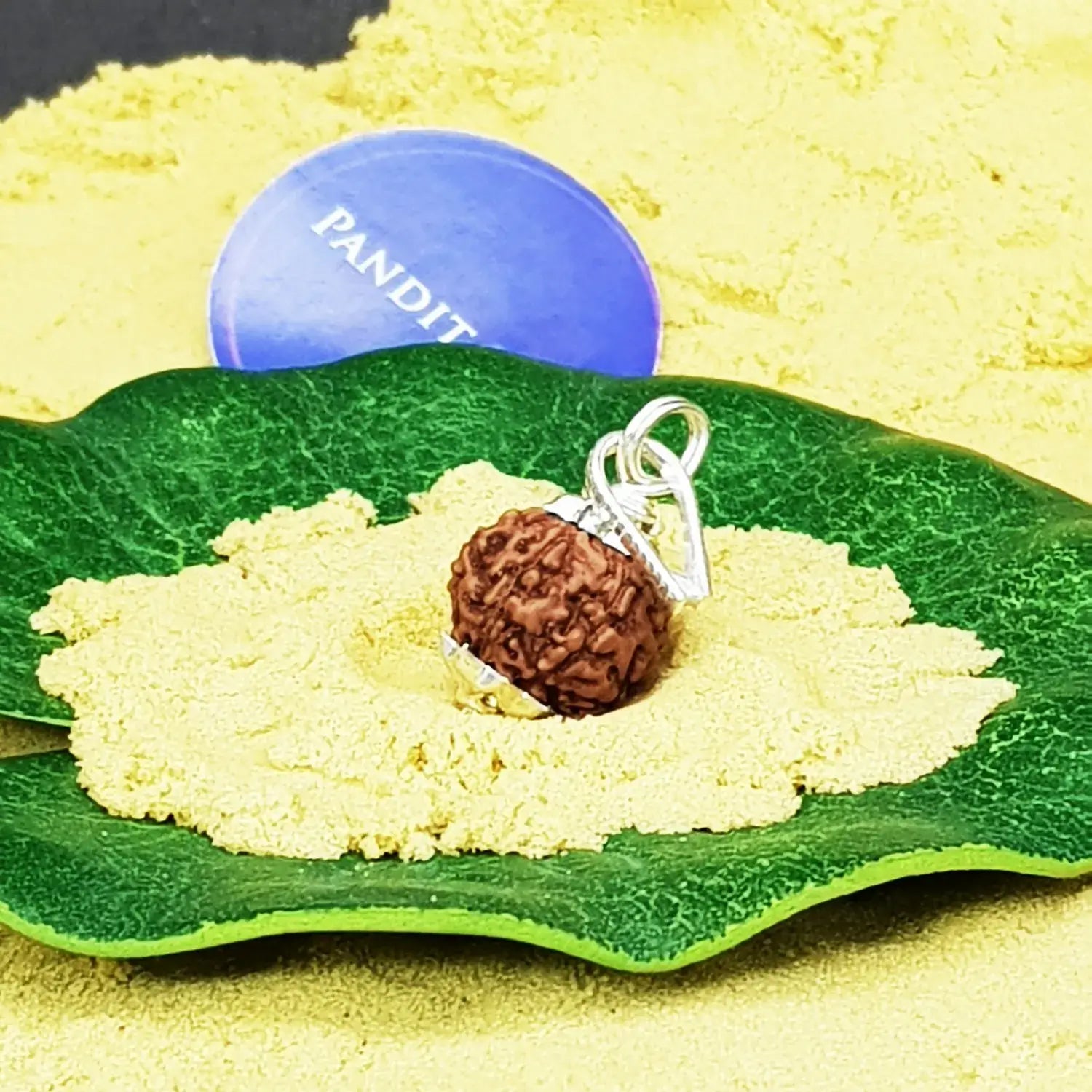 8 Mukhi Indonesia Rudraksha