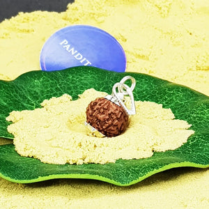 8 Mukhi Indonesia Rudraksha