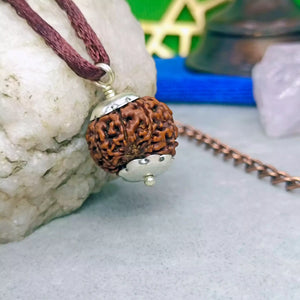 8 Faced Rudraksha – Nepal