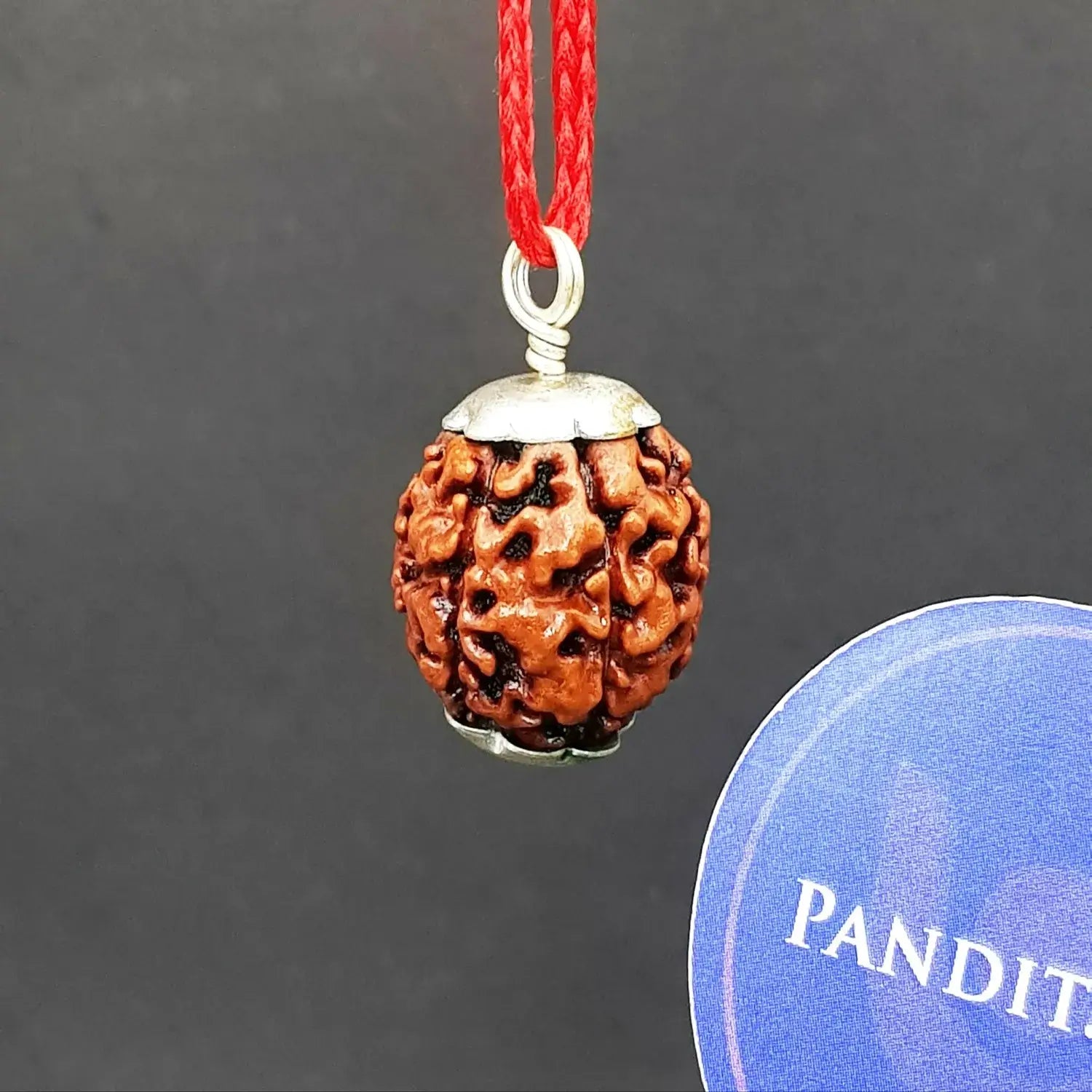 8 Mukhi Nepal Rudraksha