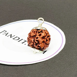 8 Mukhi Nepal Rudraksha