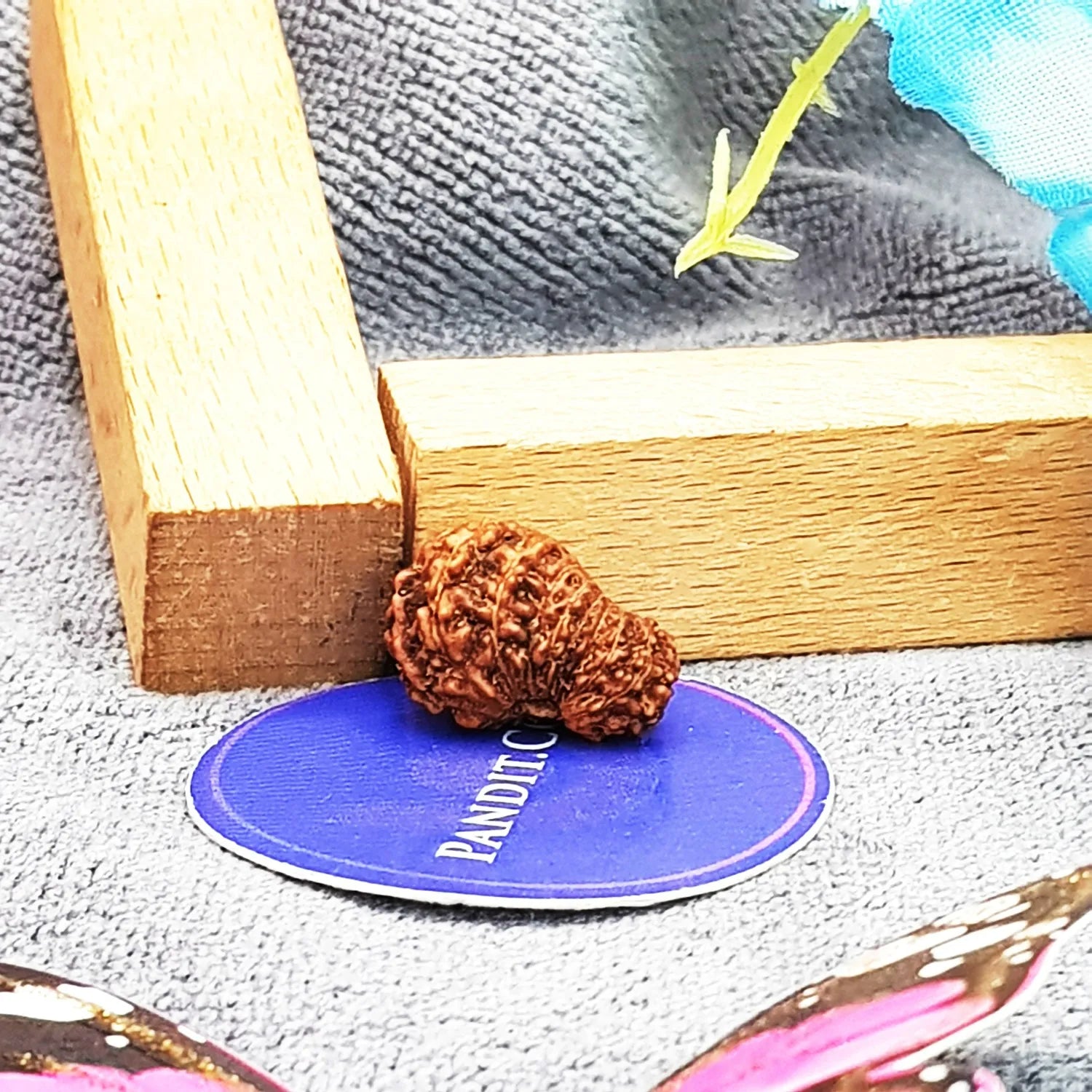 18 Mukhi Indonesia Rudraksha
