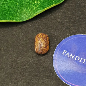 Elephant Jasper Gemstone