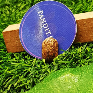 Elephant Jasper Gemstone