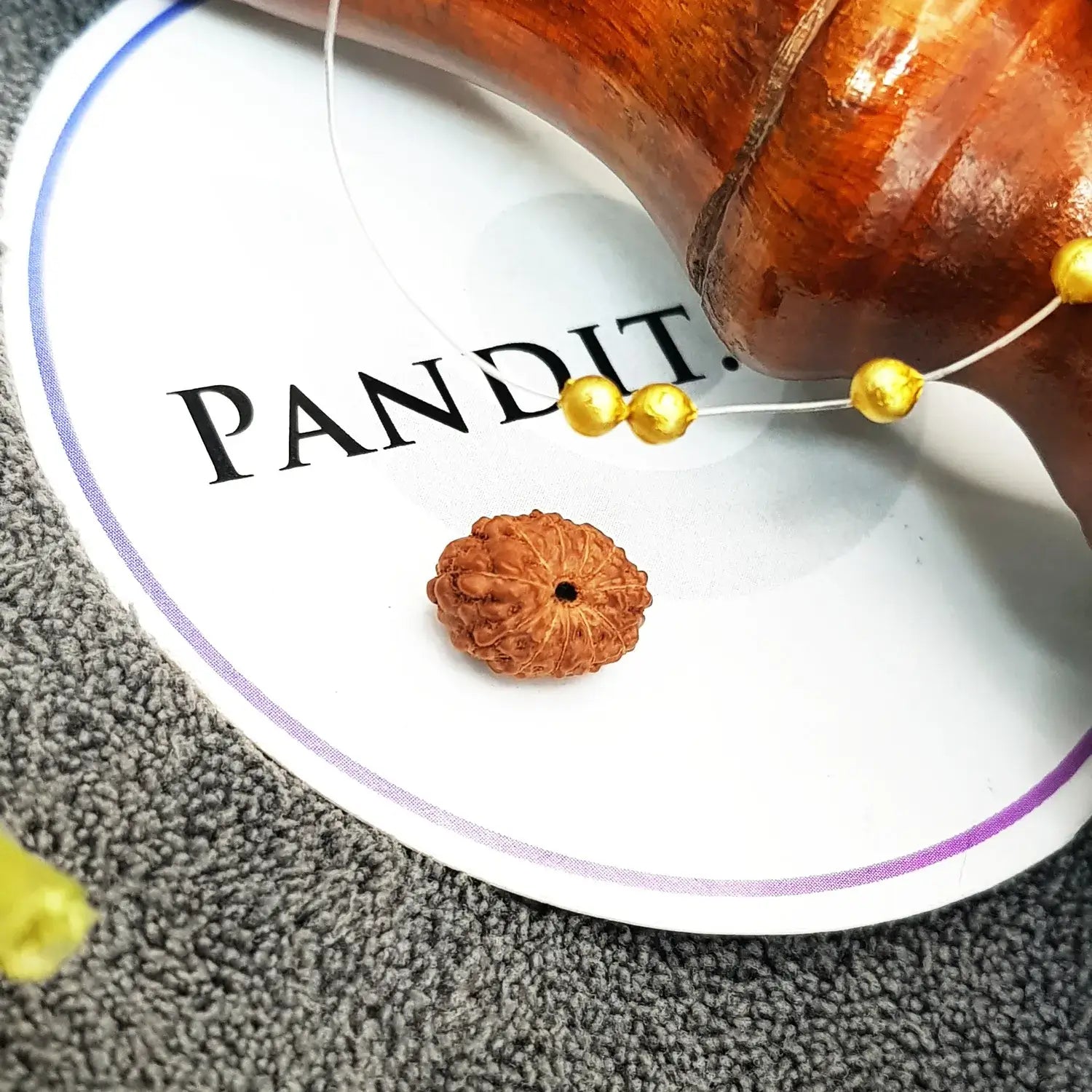 11 Mukhi Rudraksha Indonesia