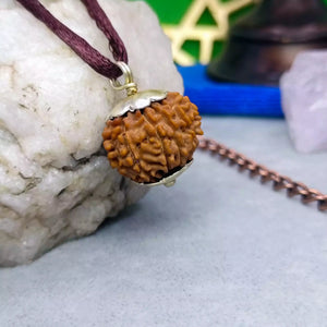 11 Faced Rudraksha – Nepal