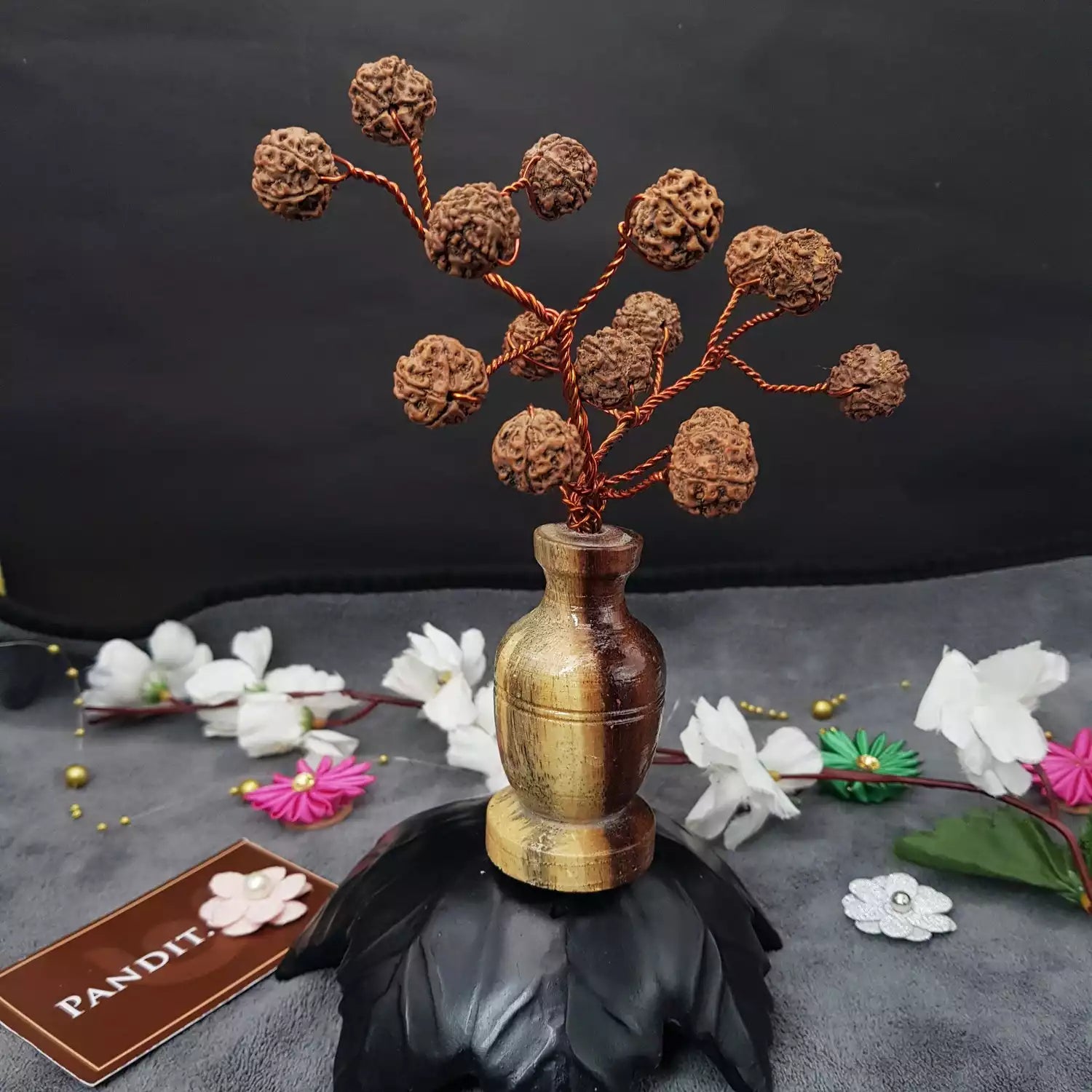 Five Mukhi Nepali Rudraksha Tree