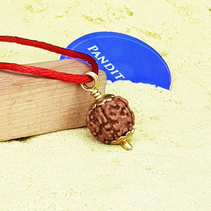 5 Mukhi Rudraksha Indonesia