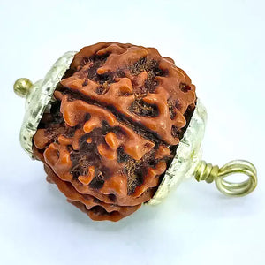 5 Faced Rudraksha – Nepal
