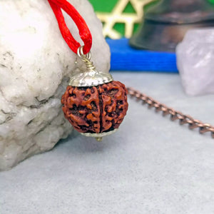 5 Faced Rudraksha – Nepal