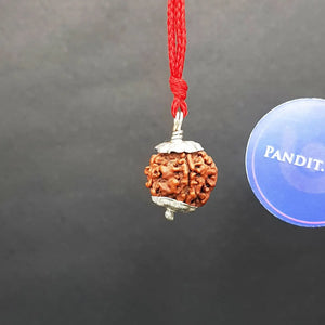 5 Mukhi Nepal Rudraksha